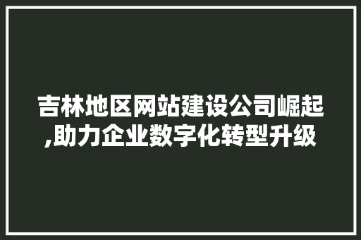 吉林地区网站建设公司崛起,助力企业数字化转型升级