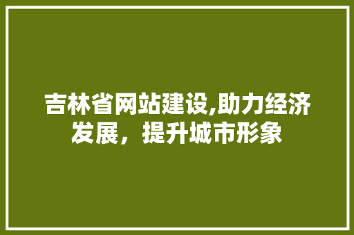 吉林省网站建设,助力经济发展，提升城市形象 吉林省网站建设,助力经济发展，提升城市形象 神马SEO