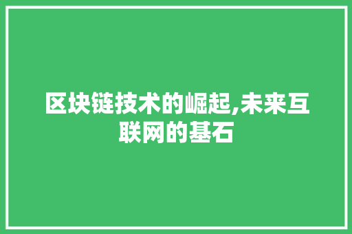 区块链技术的崛起,未来互联网的基石 区块链技术的崛起,未来互联网的基石 网站建设公司
