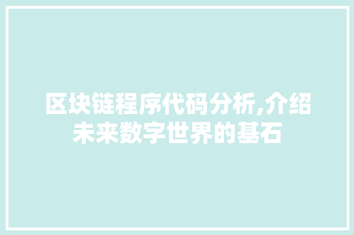 区块链程序代码分析,介绍未来数字世界的基石