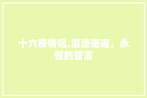 十六夜情侣,浪漫邂逅，永恒的誓言 十六夜情侣,浪漫邂逅，永恒的誓言 必应SEO