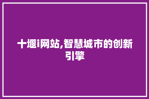 十堰i网站,智慧城市的创新引擎 十堰i网站,智慧城市的创新引擎 百度SEO