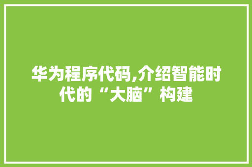 华为程序代码,介绍智能时代的“大脑”构建 华为程序代码,介绍智能时代的“大脑”构建 神马SEO