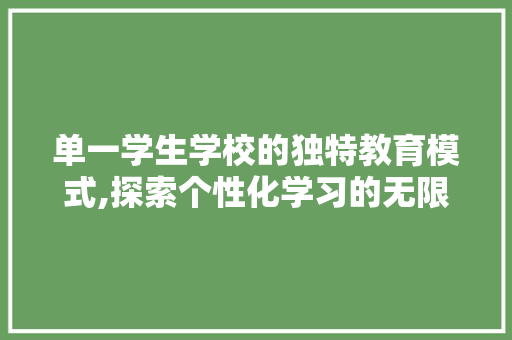 单一学生学校的独特教育模式,探索个性化学习的无限可能 SEO关键词