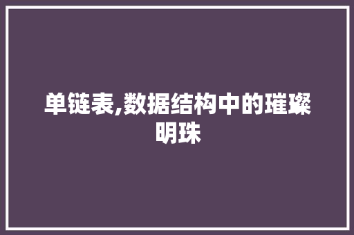 单链表,数据结构中的璀璨明珠 单链表,数据结构中的璀璨明珠 神马SEO
