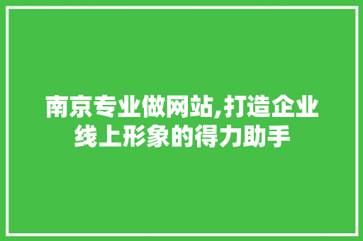 南京专业做网站,打造企业线上形象的得力助手 南京专业做网站,打造企业线上形象的得力助手 网站建设公司