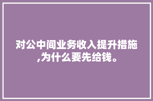 对公中间业务收入提升措施,为什么要先给钱。 对公中间业务收入提升措施,为什么要先给钱。 神马SEO