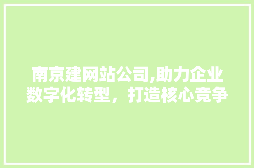 南京建网站公司,助力企业数字化转型，打造核心竞争力 南京建网站公司,助力企业数字化转型，打造核心竞争力 必应SEO