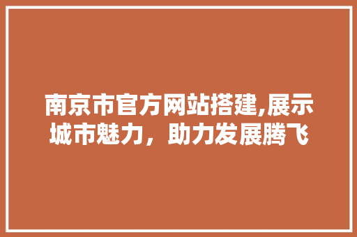 南京市官方网站搭建,展示城市魅力，助力发展腾飞 南京市官方网站搭建,展示城市魅力，助力发展腾飞 网站建设公司