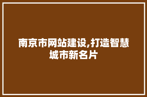 南京市网站建设,打造智慧城市新名片