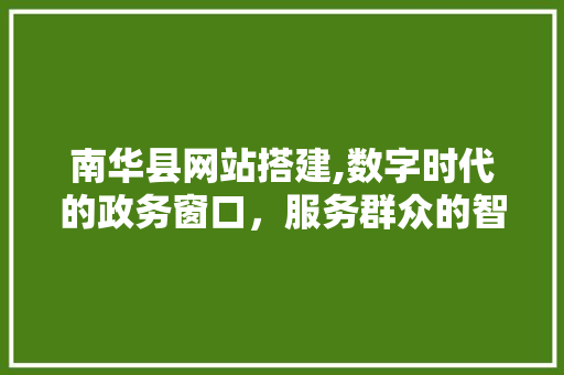 南华县网站搭建,数字时代的政务窗口，服务群众的智慧平台