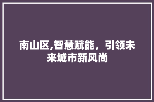 南山区,智慧赋能，引领未来城市新风尚