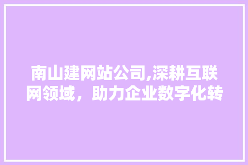 南山建网站公司,深耕互联网领域，助力企业数字化转型