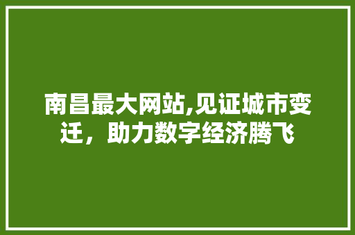 南昌最大网站,见证城市变迁，助力数字经济腾飞 南昌最大网站,见证城市变迁，助力数字经济腾飞 SEO关键词