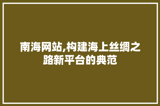 南海网站,构建海上丝绸之路新平台的典范