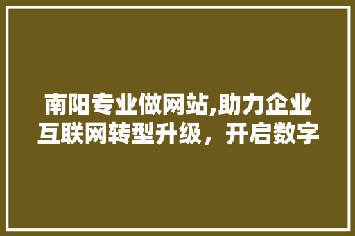 南阳专业做网站,助力企业互联网转型升级，开启数字营销新篇章