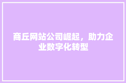 商丘网站公司崛起，助力企业数字化转型