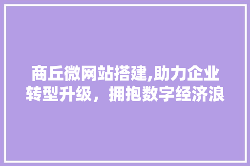 商丘微网站搭建,助力企业转型升级，拥抱数字经济浪潮 商丘微网站搭建,助力企业转型升级，拥抱数字经济浪潮 神马SEO