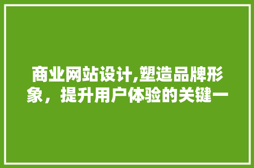商业网站设计,塑造品牌形象，提升用户体验的关键一环