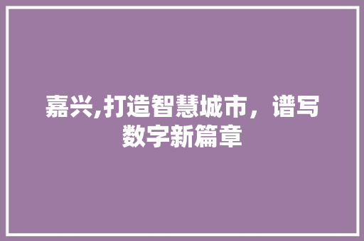 嘉兴,打造智慧城市，谱写数字新篇章 嘉兴,打造智慧城市，谱写数字新篇章 SEO关键词