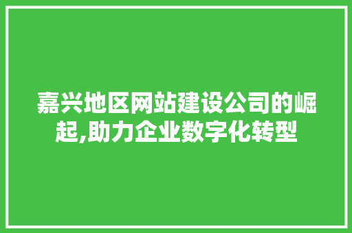 嘉兴地区网站建设公司的崛起,助力企业数字化转型 嘉兴地区网站建设公司的崛起,助力企业数字化转型 网站建设公司