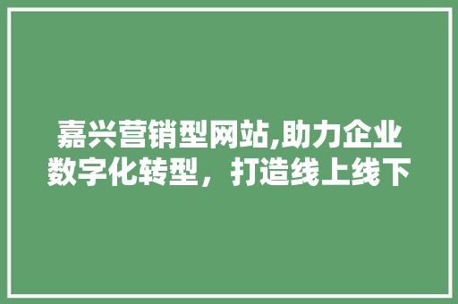 嘉兴营销型网站,助力企业数字化转型，打造线上线下融合新生态 嘉兴营销型网站,助力企业数字化转型，打造线上线下融合新生态 搜狗SEO
