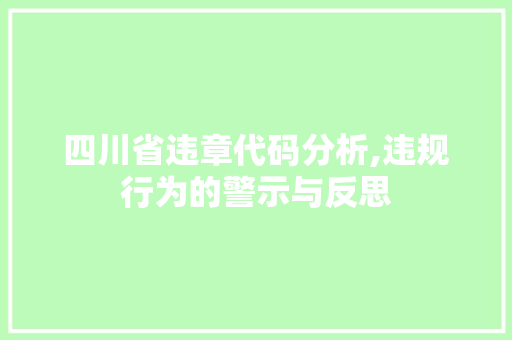 四川省违章代码分析,违规行为的警示与反思 四川省违章代码分析,违规行为的警示与反思 百度SEO