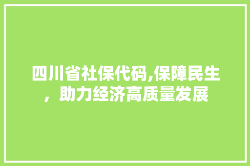 四川省社保代码,保障民生，助力经济高质量发展