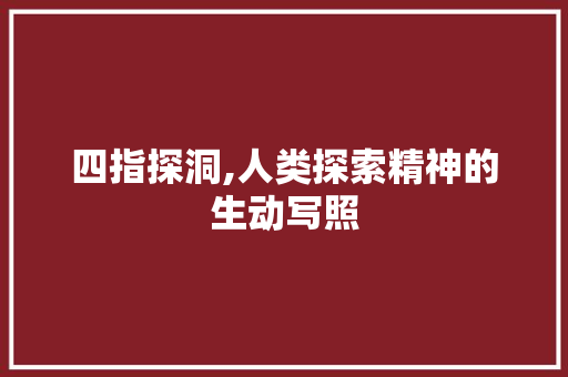 四指探洞,人类探索精神的生动写照 四指探洞,人类探索精神的生动写照 SEO关键词