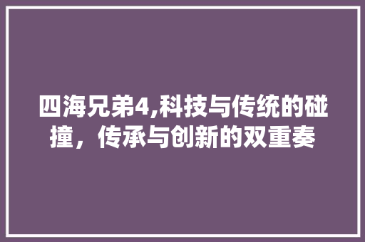 四海兄弟4,科技与传统的碰撞，传承与创新的双重奏