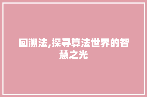 回溯法,探寻算法世界的智慧之光 回溯法,探寻算法世界的智慧之光 网站建设公司