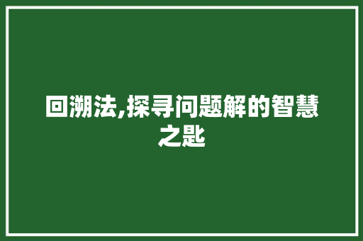 回溯法,探寻问题解的智慧之匙 回溯法,探寻问题解的智慧之匙 百度SEO