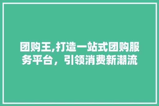 团购王,打造一站式团购服务平台，引领消费新潮流 团购王,打造一站式团购服务平台，引领消费新潮流 必应SEO