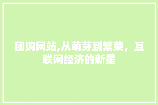 团购网站,从萌芽到繁荣，互联网经济的新星 团购网站,从萌芽到繁荣，互联网经济的新星 百度SEO