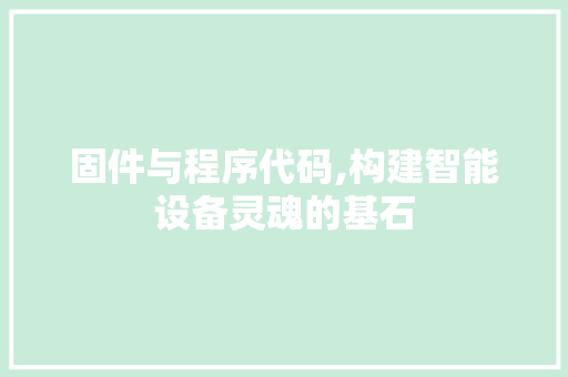 固件与程序代码,构建智能设备灵魂的基石 固件与程序代码,构建智能设备灵魂的基石 必应SEO