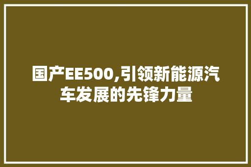 国产EE500,引领新能源汽车发展的先锋力量 国产EE500,引领新能源汽车发展的先锋力量 SEO关键词