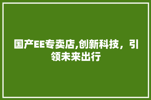 国产EE专卖店,创新科技，引领未来出行 国产EE专卖店,创新科技，引领未来出行 百度SEO