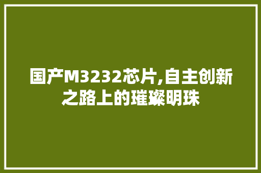 国产M3232芯片,自主创新之路上的璀璨明珠 国产M3232芯片,自主创新之路上的璀璨明珠 搜狗SEO