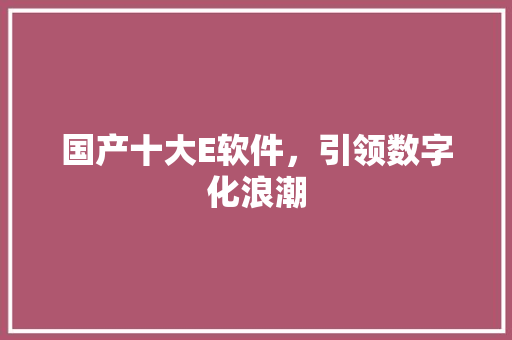 国产十大E软件，引领数字化浪潮