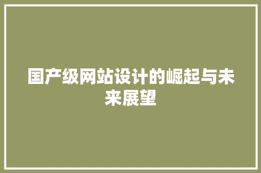 国产级网站设计的崛起与未来展望