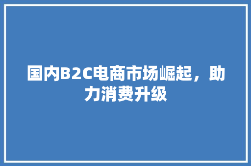 国内B2C电商市场崛起，助力消费升级 国内B2C电商市场崛起，助力消费升级 搜狗SEO