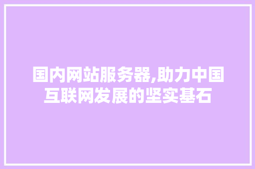 国内网站服务器,助力中国互联网发展的坚实基石