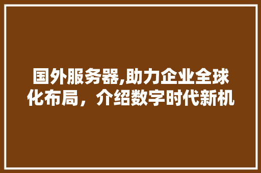国外服务器,助力企业全球化布局，介绍数字时代新机遇 国外服务器,助力企业全球化布局，介绍数字时代新机遇 百度SEO