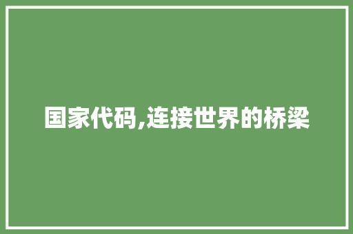 国家代码,连接世界的桥梁 国家代码,连接世界的桥梁 SEO关键词