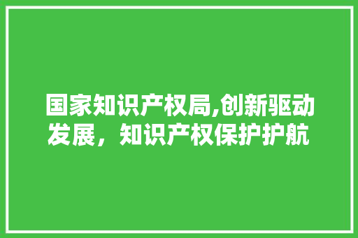 国家知识产权局,创新驱动发展，知识产权保护护航 国家知识产权局,创新驱动发展，知识产权保护护航 必应SEO