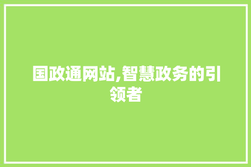 国政通网站,智慧政务的引领者 国政通网站,智慧政务的引领者 必应SEO