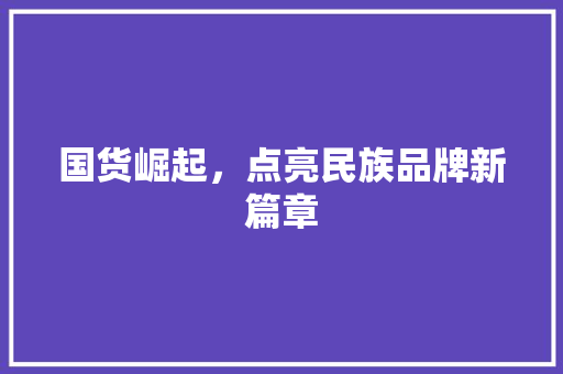 国货崛起，点亮民族品牌新篇章 国货崛起，点亮民族品牌新篇章 网站建设公司