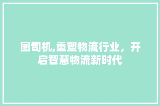 图司机,重塑物流行业，开启智慧物流新时代 图司机,重塑物流行业，开启智慧物流新时代 SEO关键词