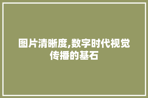 图片清晰度,数字时代视觉传播的基石 图片清晰度,数字时代视觉传播的基石 百度SEO