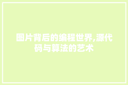 图片背后的编程世界,源代码与算法的艺术 图片背后的编程世界,源代码与算法的艺术 神马SEO